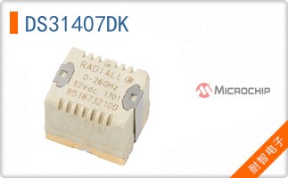 DS31407DK