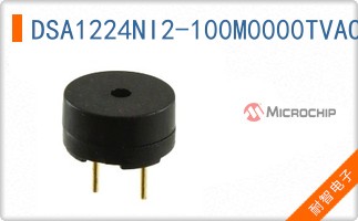 DSA1224NI2-100M0000TVAO