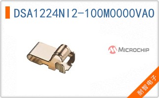 DSA1224NI2-100M0000VAO