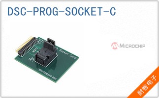 DSC-PROG-SOCKET-C