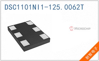 DSC1101NI1-125.0062T