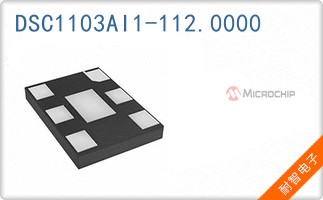 DSC1103AI1-112.0000