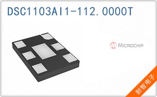 DSC1103AI1-112.0000T