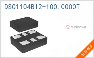 DSC1104BI2-100.0000T