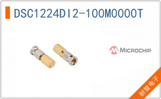 DSC1224DI2-100M0000T