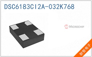 DSC6183CI2A-032K768