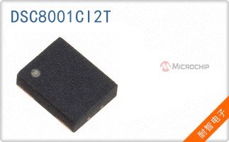 DSC8001CI2T