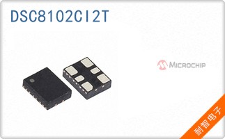 DSC8102CI2T