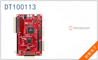 DT100113