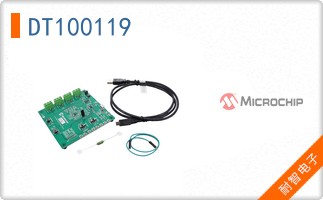 DT100119