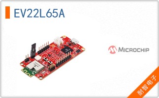 EV22L65A