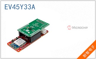 EV45Y33A