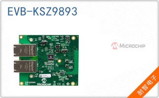EVB-KSZ9893
