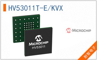 HV53011T-E/KVX