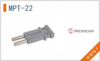 MPT-22