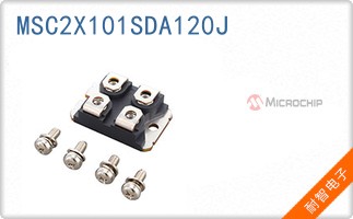 MSC2X101SDA120J