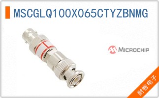 MSCGLQ100X065CTYZBNMG