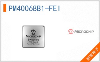 PM40068B1-FEI