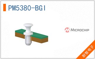 PM5380-BGI