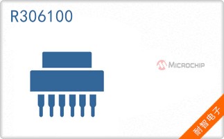 R306100
