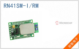 RN41SM-I/RM