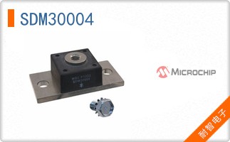 SDM30004