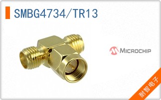 SMBG4734/TR13