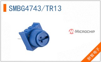 SMBG4743/TR13