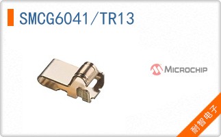 SMCG6041/TR13