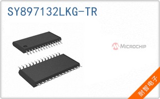 SY897132LKG-TR