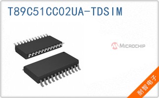 T89C51CC02UA-TDSIM