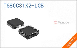 TS80C31X2-LCB