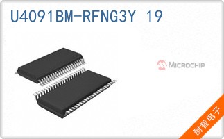 U4091BM-RFNG3Y 19